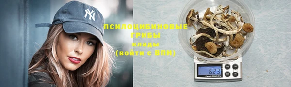 экстази Новодвинск
