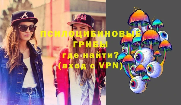 бошки Новокубанск