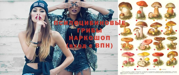 амфетамин Новозыбков